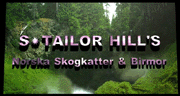 S*TAILOR HILL'S