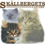 SKALLBERGETS