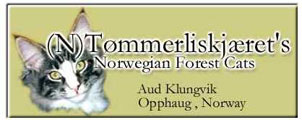 Tommerliskjaeret's