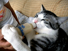 MrtF`AɂɂB