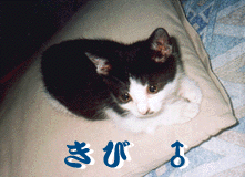 ۂ̒Zсicj