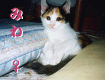 ۂ݂̒icj
