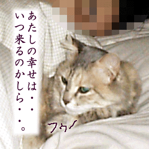 vʂɂ͂Ȃ̂ˁB