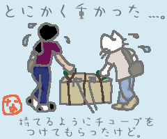 えいさ、こらさ。
