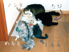 ςςςB