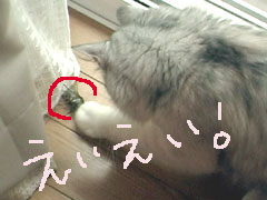 「はたくべし!」