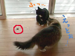 イライラするなー。